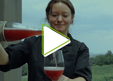Living Roots Wine Instagram post