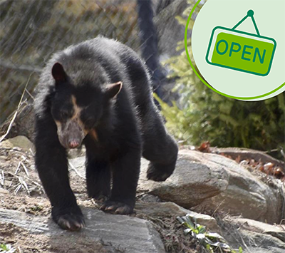 Beardsley Zoo