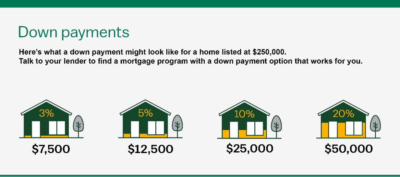 Comparison of down payment percentages